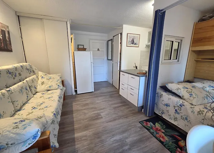 Apartment 065 Cap D'agde Piscine Parking Proche Village Naturiste Agde